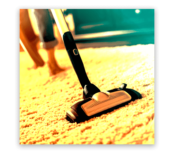 Professional Carpet Cleaning Greenwith